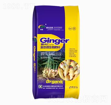 �ͺ�΢�������-������-�ǵ�