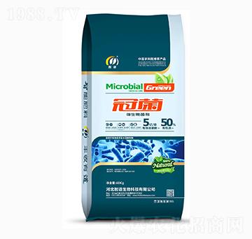 5�|΢�������-�ھ�-�ǵ�