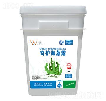 ���o����¶-ˮ΢����