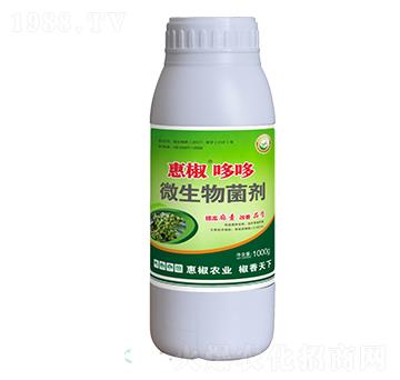 ΢�������-�ݽ��߶�-