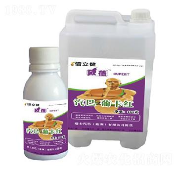 �Ͽ��t-������-�����r(n��ng)�I(y��)