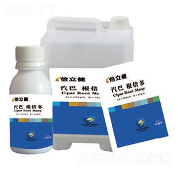 ������-������-�����r�I(y��)