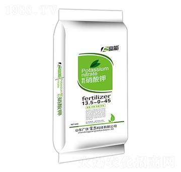 ���������-����-�����Ƽ�