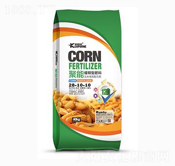 ���ܾ���ͷ���28-10-10-�����Z-����