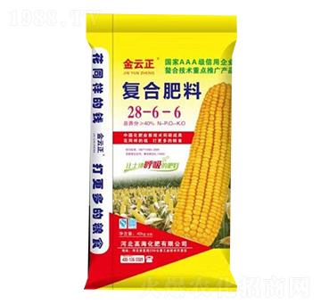 �ͺϷ���28-6-6-������-�ߺ�����