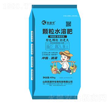 �w��ˮ�ܷ�-�P���A