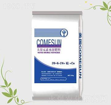 ����Ԫ��ˮ�ܷ�20-6-24+��+Ca-��ķ����-����ʘI(y��)