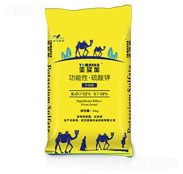 �����͡������-���I��-�����r(n��ng)�I(y��)