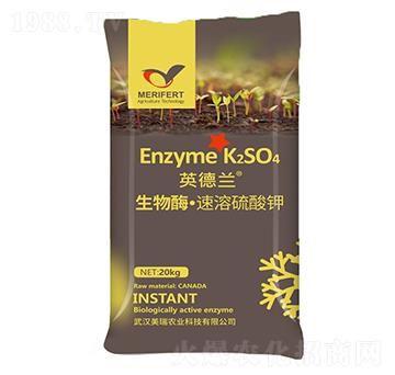 Ӣ���m���������-�����r(n��ng)�I(y��)