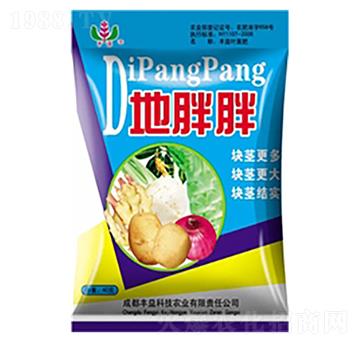 ������-�S��