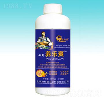 1000g�B(y��ng)��(l��)ˬ-��ԣ��