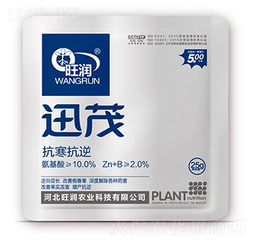 ��������-Ѹï-�����r(n��ng)�I(y��)