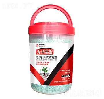 ���ġ��������߾�-�o��