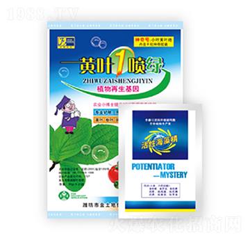 �S�~1���G-������