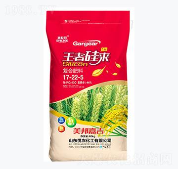 ��(f��)�Ϸ���17-22-5-ʩ����-���r(n��ng)����