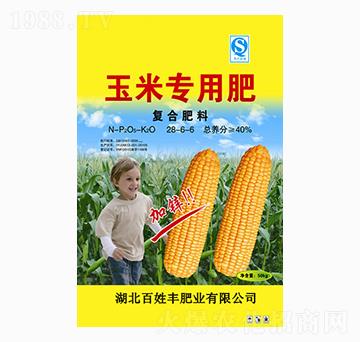 ���׌�(zhu��n)�Ï�(f��)�Ϸ���28-6-6-�����S