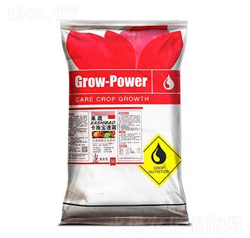 ����Ԫ��ˮ�ܷ���12-6-18-��ʩ������-���r(n��ng)����