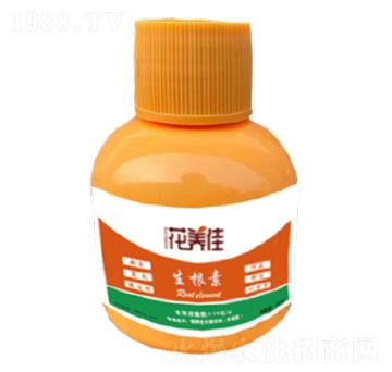 ������-���B(y��ng)��-������