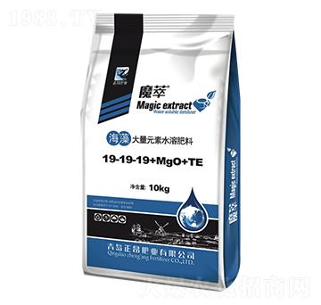 �������Ԫ��ˮ�ܷ���19-19-19+MgO+TE-ħ��-�����ʘI(y��)