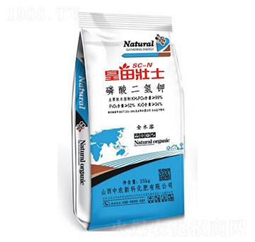 ��������-�����ʿ-���r�¿�