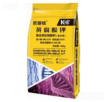 �S�����-�W����-�W������