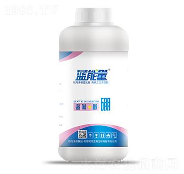 400g海藻·醇硼-藍(lán)能量