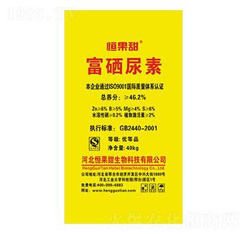 ��������-�����