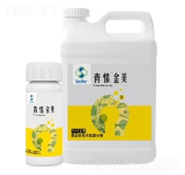 ��㺽���-������(l��)