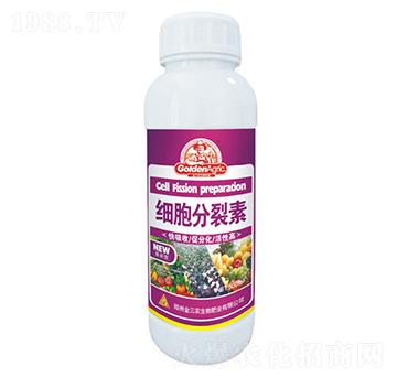 500ml����������-�����r