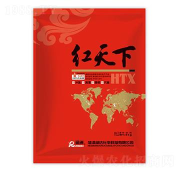 �t����-���_���W