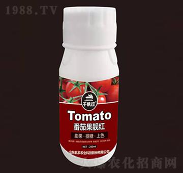 ���ѹ��n�t-���r�r�I(y��)