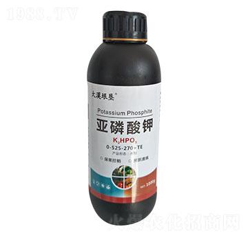 �������0-525-270+TE-��Į��-�κ�ϡ��