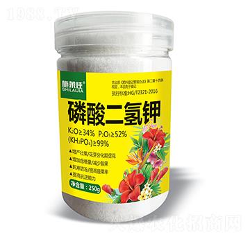 ��������-ʩ�R��-ӯ�S�r�I(y��)