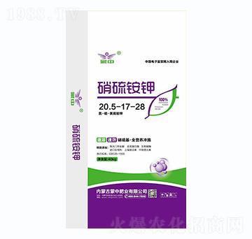 �����@�20.5-17-28-���зʘI(y��)