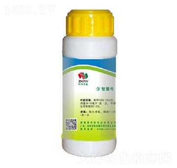 �~����-�п��r(n��ng)�I(y��)