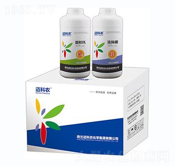 �~���r(n��ng)�����w��-�Έ�����