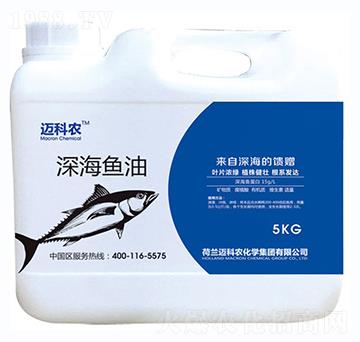 ��~��-�~���r(n��ng)-�Έ�����