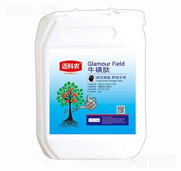 ������-�~���r(n��ng)-�Έ�����