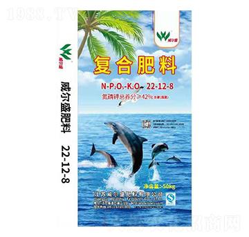 �ͺϷ���22-12-8-����ʢ����