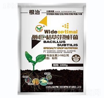 ��(c��)���ޡ��ݲ�ѿ�ߗU��-����-��(zh��n)܇