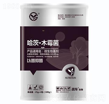 ���ġ�ľù��-��(x��)��-��(zh��n)܇