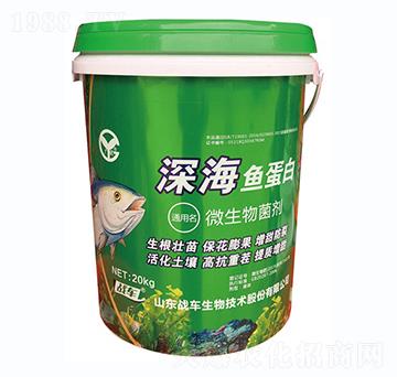 ��~(y��)����-��(zh��n)܇(ch��)