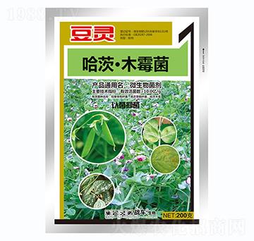 ����ľù��-���`-��(zh��n)܇