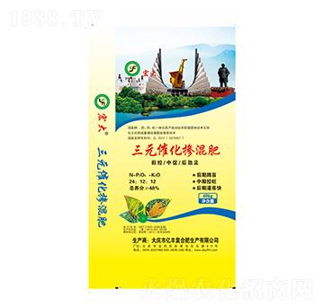 �����24-12-12-��Ԫ�߻�-�|�S