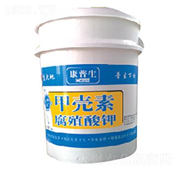 �ך��ظ�ֳ���-������