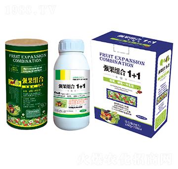 �����M��1+1-������