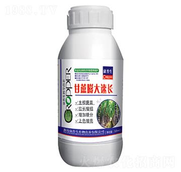 ����������L(zh��ng)-������