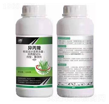 50%����¡�Ҹ���-�|��