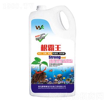 ������-�ֿ��S