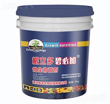 ΢�������-�����ࡤ��